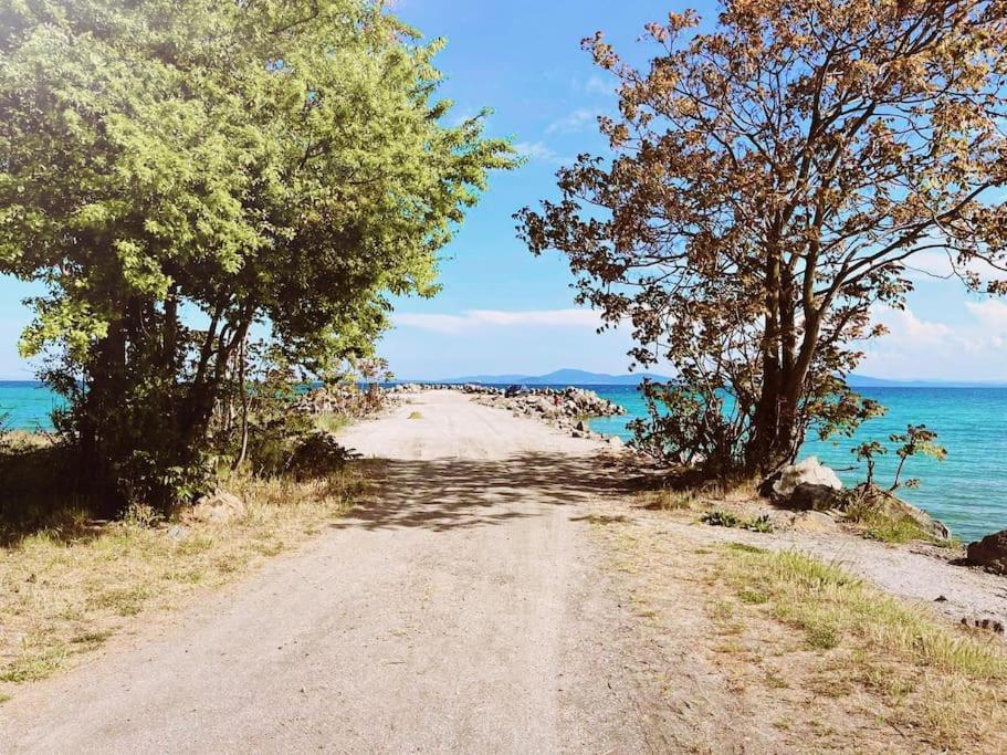 Lovely Studio Apartment On The Beach 부르가스 외부 사진
